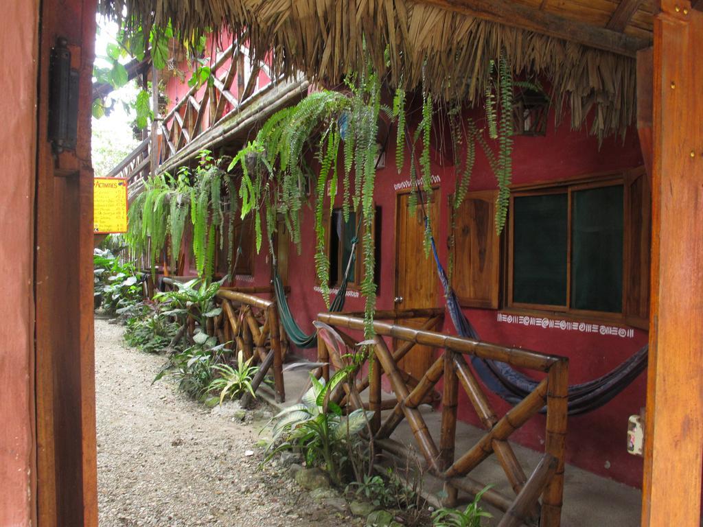 מונטניטה Hostal Mamacucha מראה חיצוני תמונה